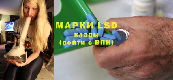 мдпв Пестово