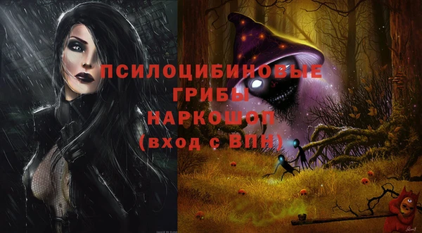 мдпв Пестово