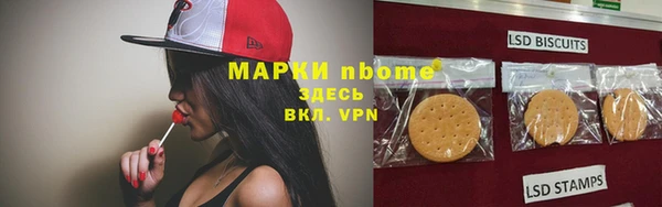 мдпв Пестово