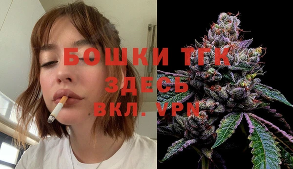 соль ск Пересвет