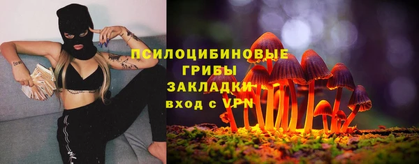 мдпв Пестово