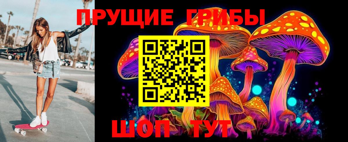 Новороссийск  Псилоцибиновые грибы MAGIC MUSHROOMS  Вход с VPN  Галлюциногенные грибы мицелий 